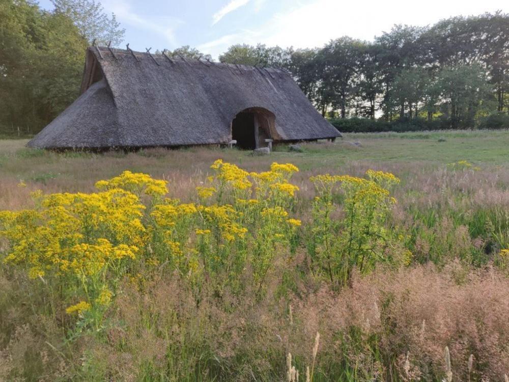 Vakantie Op De Veluwe Villa Lunteren Ngoại thất bức ảnh
