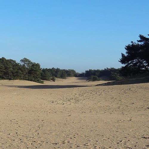 Vakantie Op De Veluwe Villa Lunteren Ngoại thất bức ảnh