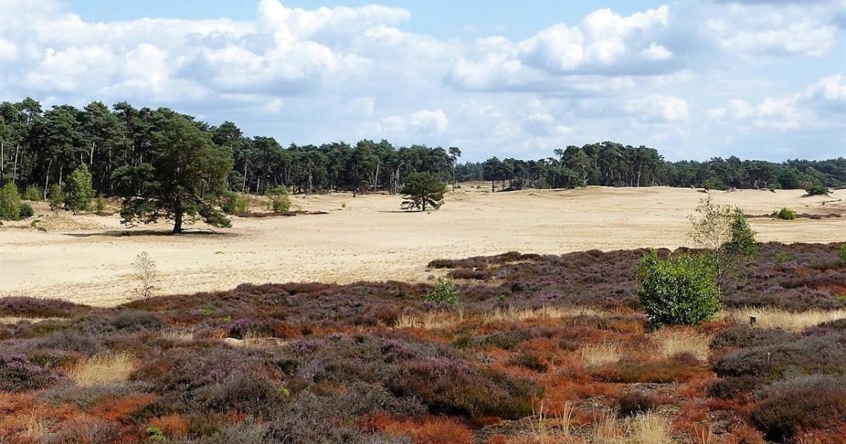 Vakantie Op De Veluwe Villa Lunteren Ngoại thất bức ảnh